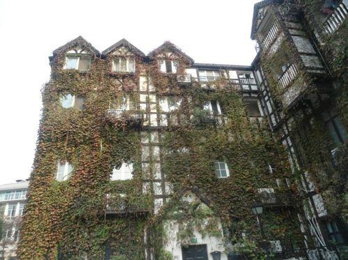 关于形容房子久无人居住爬满藤蔓的诗句合集(精选) 关于形容房子的诗句