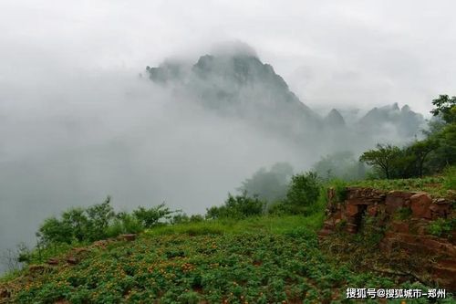 关于形容雨后登山的诗句合集(通用) 形容登山的成语