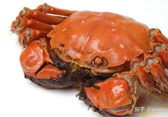 螃蟹死了还能吃吗 螃蟹怎么做好吃又简单方便