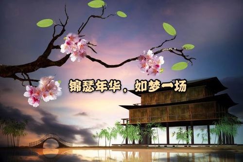 关于锦瑟年华的诗句合集(通用) 锦瑟年华的诗句有哪些