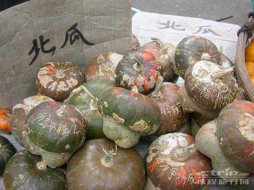 北瓜是什么 北瓜什么时候种植最好