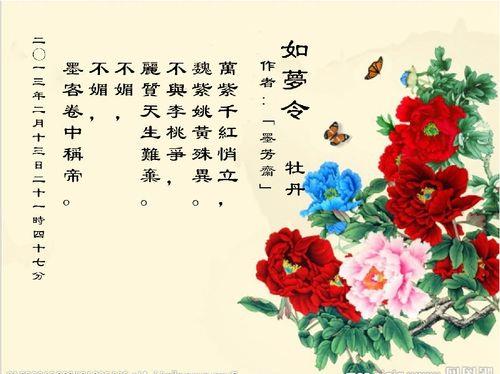 关于如梦令改写唯美句子大全 如梦令改写成散文200字