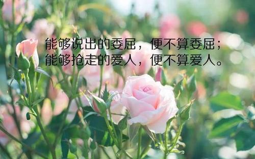 关于想人的正能量句子说说心情大全