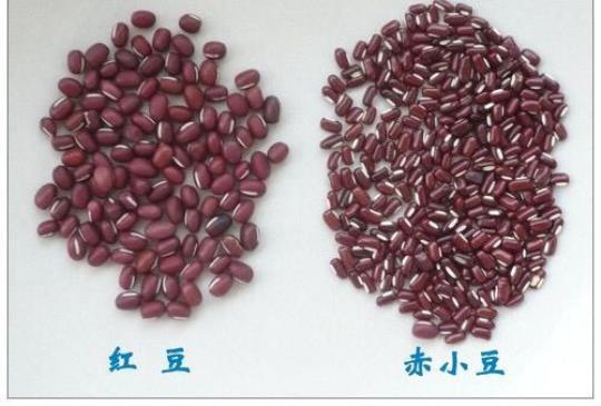 赤豆是什么 赤豆什么时候播种