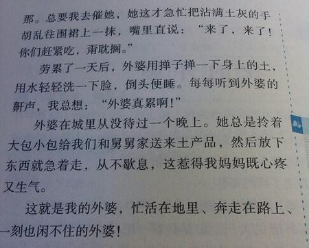 关于描写人物外貌的句子优美段落大全 关于描写人物的作文500字