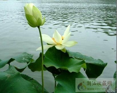 关于形容清晨花木朝气蓬勃的诗句合集(通用) 夏天的清晨怎么形容