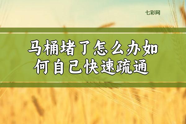 马桶堵了怎么办如何自己快速疏通