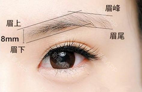 哪里可以设计眉形