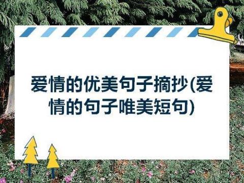 关于优美句子短句