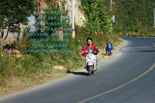 关于形容停停走走的诗句合集(实用) 形容走走停停