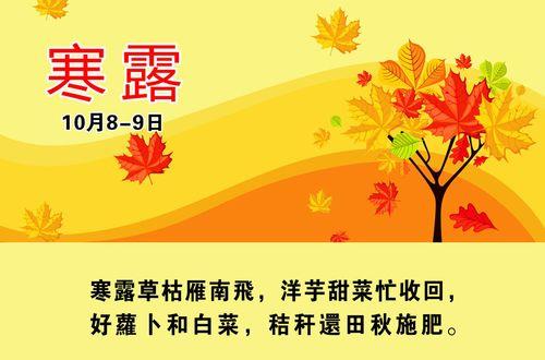 关于寒露的诗句和谚语合集(实用) 关于寒露诗句(两大句)