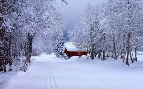 关于形容下雪的优美的句子大全 关于形容下雪的诗句
