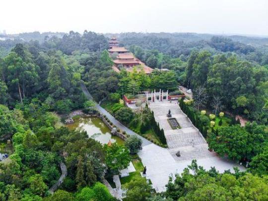 三水森林公园门票价格是多少？