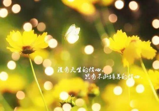 关于想要好的生活的句子说说心情大全 去过自己想要的生活