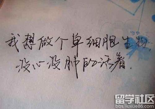 关于最新qq签名唯美句子大全