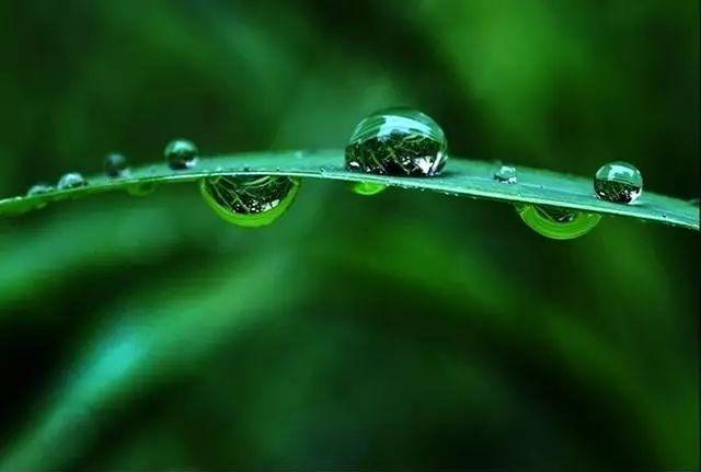 关于夏有雨的诗句合集(实用)