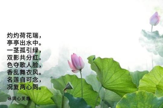 关于于花与季节的诗句合集(优选)