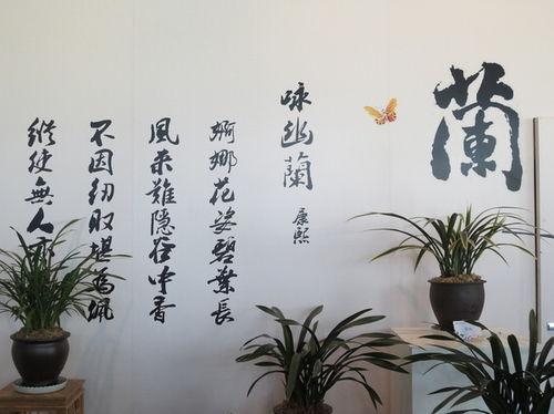 关于兰花精神的诗句合集(通用) 关于兰花精神的诗句有哪些