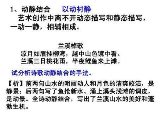 关于动态描写静态描写的诗句合集(优选) 关于动态描写的句子20字