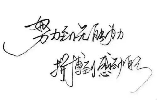 关于不懈努力的唯美句子大全