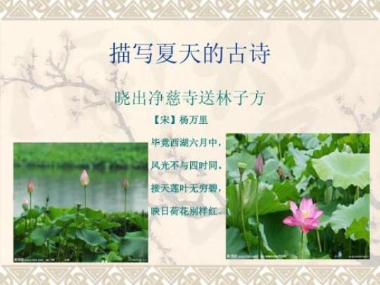 关于景色诗句标题合集(实用) 关于景色诗句的图片