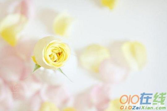 关于祝愿自己唯美的句子大全 元旦祝愿自己的话