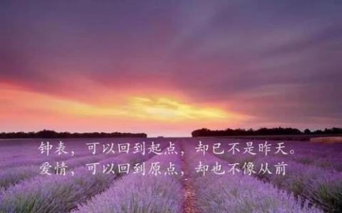 形容个人圈子的唯美句子