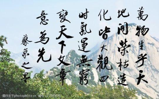 关于学书法感怀的诗句合集(实用) 七律学书法感怀