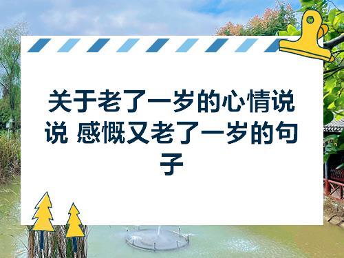 关于老了唯美句子大全 关于唯美句子上进的