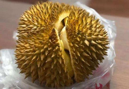 榴莲放了5天还没裂开怎么办