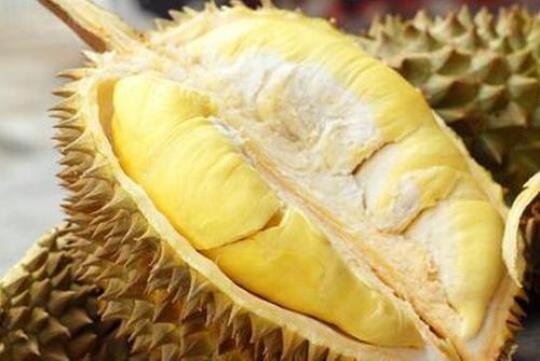 喝中药可以吃榴莲吗