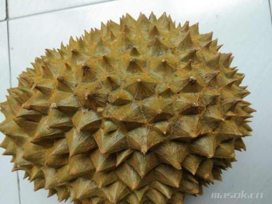 和榴莲很像的水果叫什么名