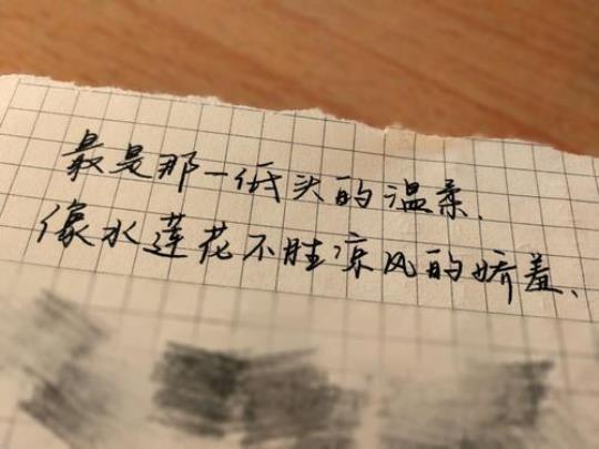 关于描写一个人的特点的优美句子大全 关于描写一个人的作文500字