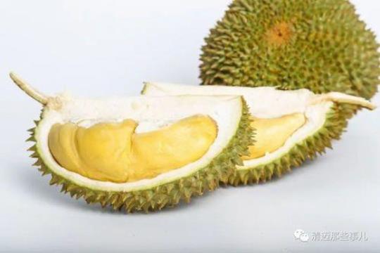甲仑榴莲核大吗
