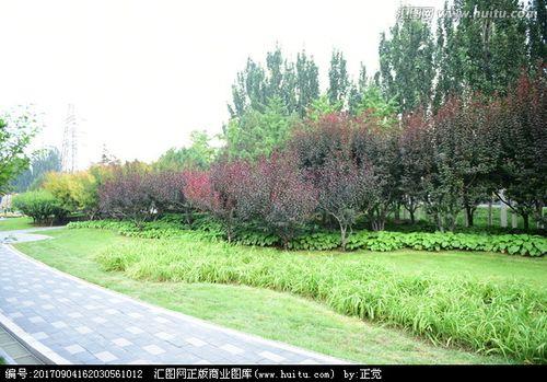 关于形容街道绿化优美的句子大全 形容街道绿化好的句子