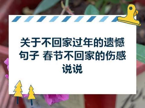 有关过年的优美句子