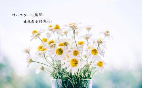 关于形容不要抱怨别人诗句合集(实用)
