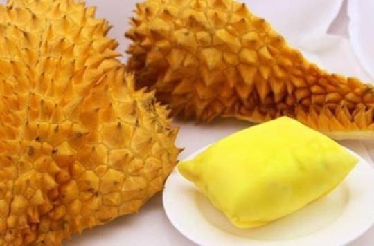 吃榴莲喝牛奶会中毒吗