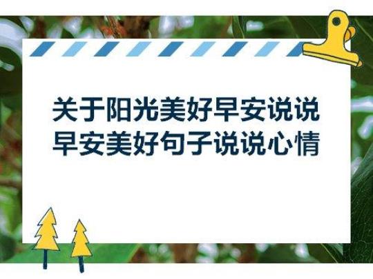 关于阳光美好句子说说心情大全 生活阳光美好的图片
