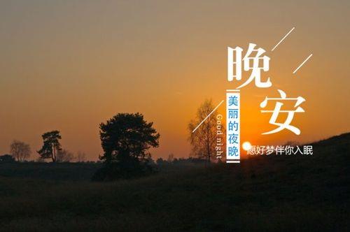 关于友情晚安句子唯美带字大全 关于友情的晚安