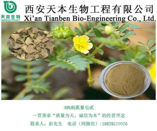 刺蒺藜皂甙功效与作用是什么？