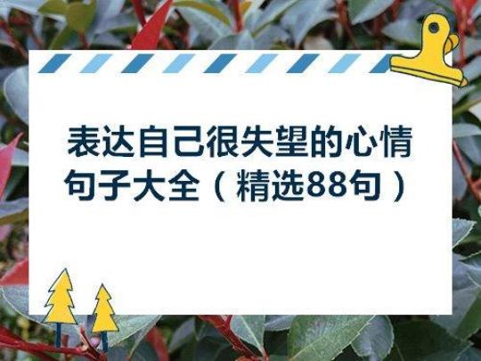 关于成长失望的句子说说心情大全 我在失望中成长作文