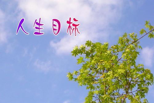 关于形容人生要有目标的诗句合集(通用) 关于形容人生的词语