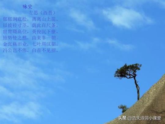 关于松树的诗句20首合集(优选) 关于松树诗句古诗