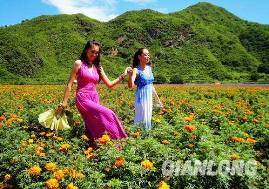 关于形容在花海的姑娘诗句合集(优选) 秋天的花海怎么形容