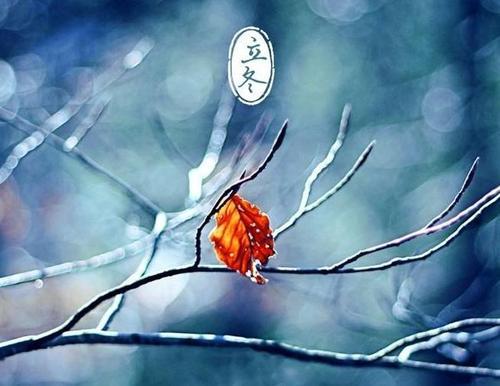 关于立冬下雨的唯美句子大全