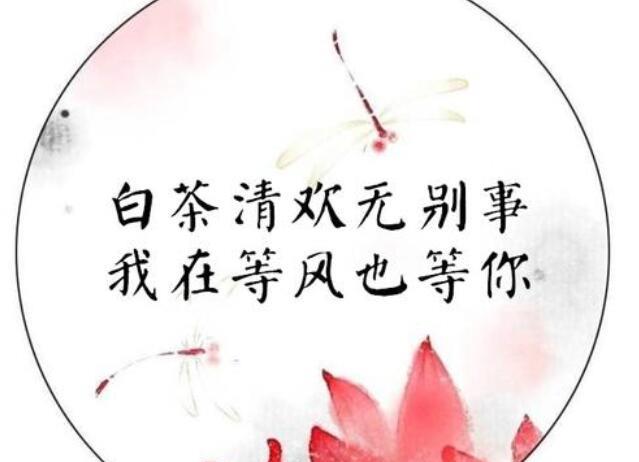 关于古风的唯美句子简短大全 关于古风唯美句子