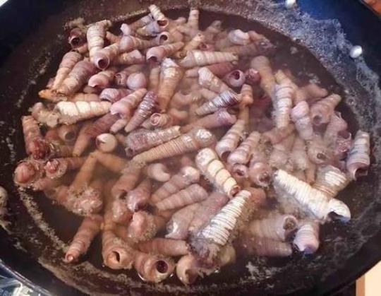 螺丝寄生虫可以煮死吗