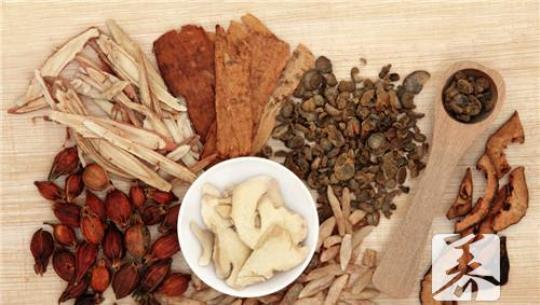 决明子的副作用与禁忌
