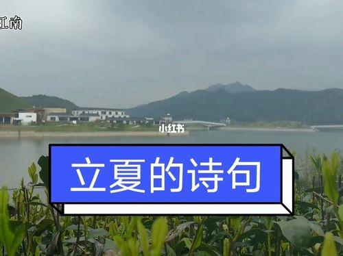 关于盛夏诗句合集(实用) 关于盛夏诗句
